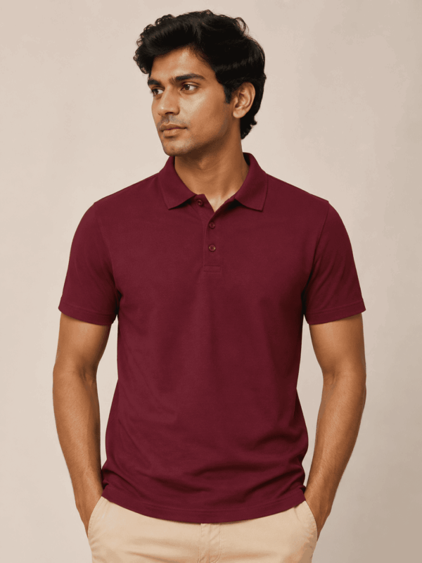 Polo Neck Everyday Wear T-shirts for Men
